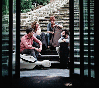 19-9-16_gringoltsQ-b_500x442