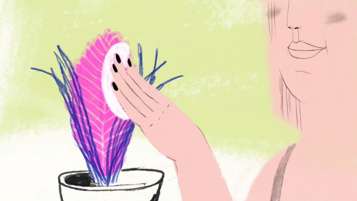 the-noise-of-licking_still
